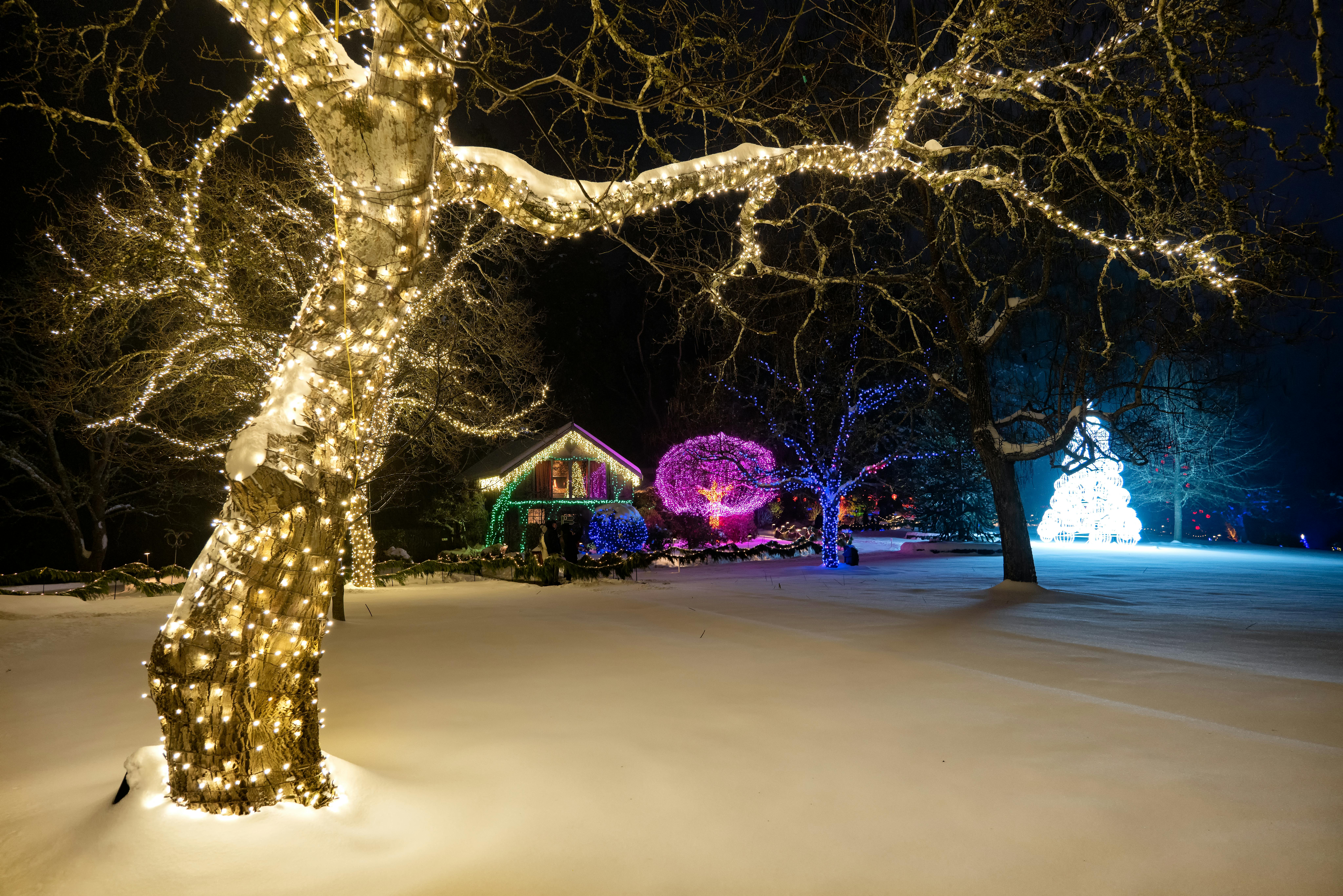 Front porch Christmas decoration with lights