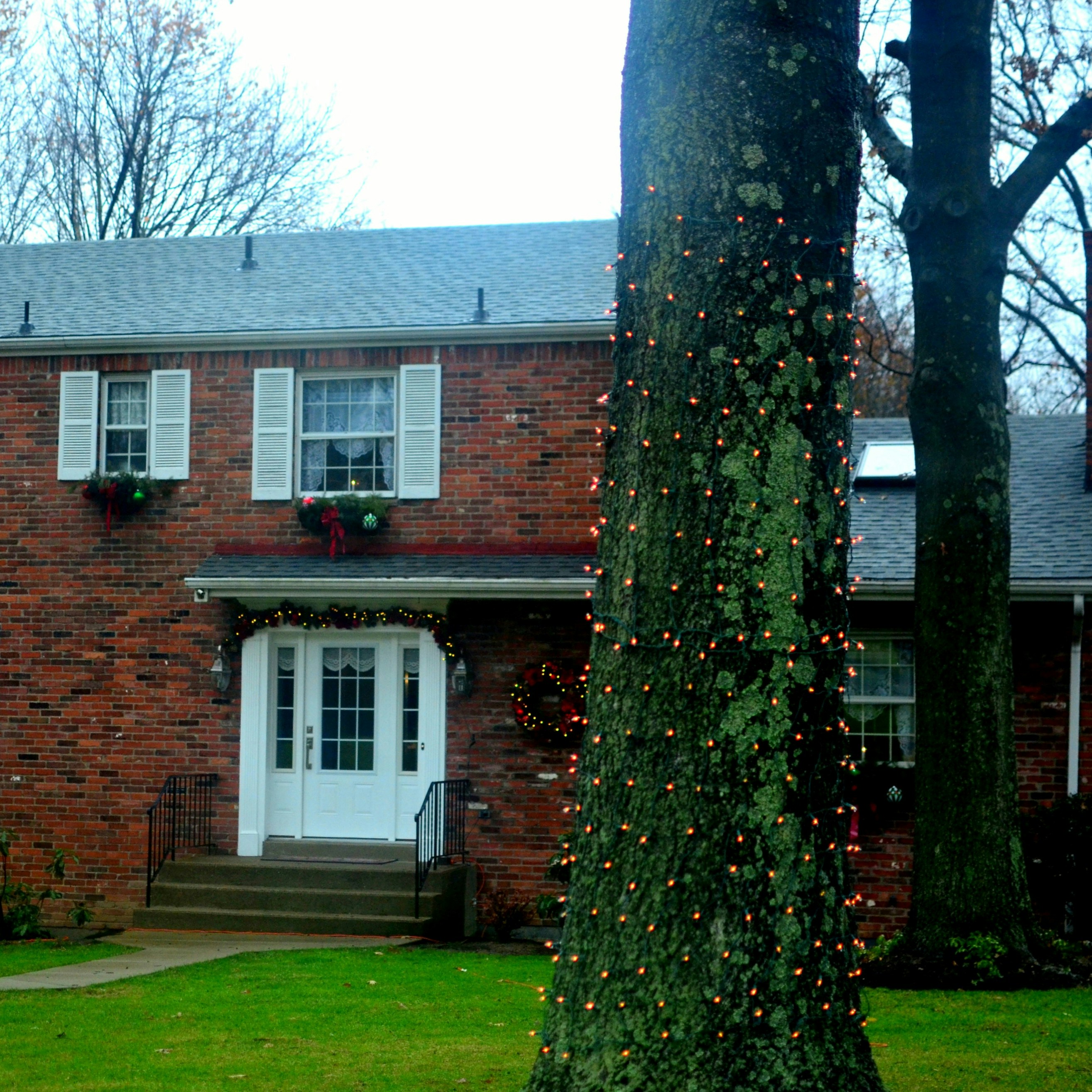 Complete roofline Christmas light installation