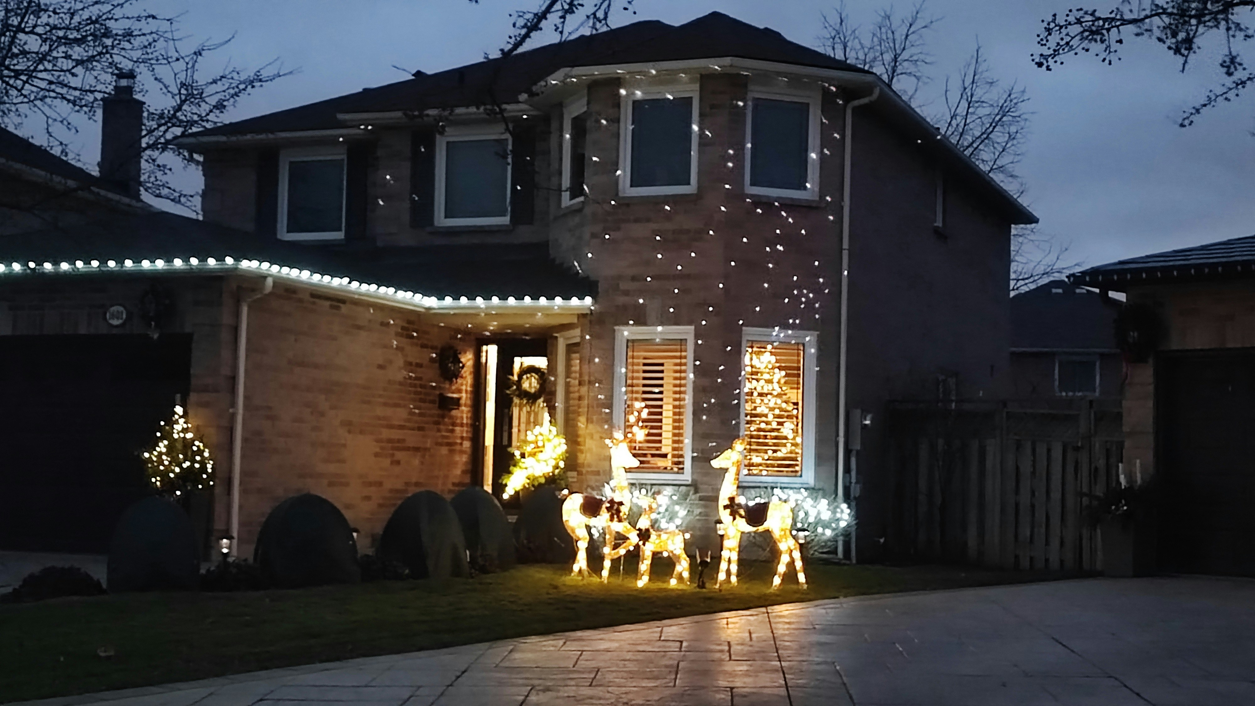Professional holiday lighting installation